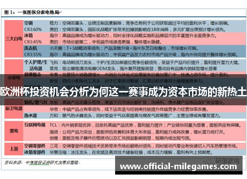 欧洲杯投资机会分析为何这一赛事成为资本市场的新热土