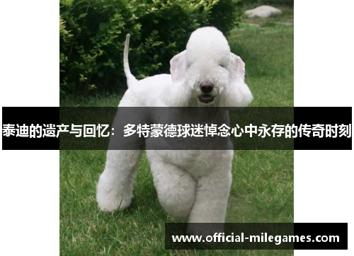 泰迪的遗产与回忆：多特蒙德球迷悼念心中永存的传奇时刻