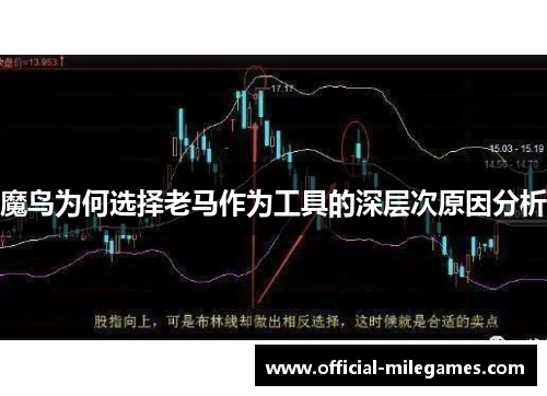 魔鸟为何选择老马作为工具的深层次原因分析