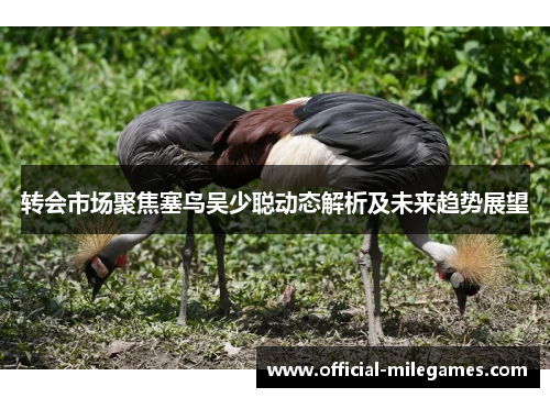 转会市场聚焦塞鸟吴少聪动态解析及未来趋势展望