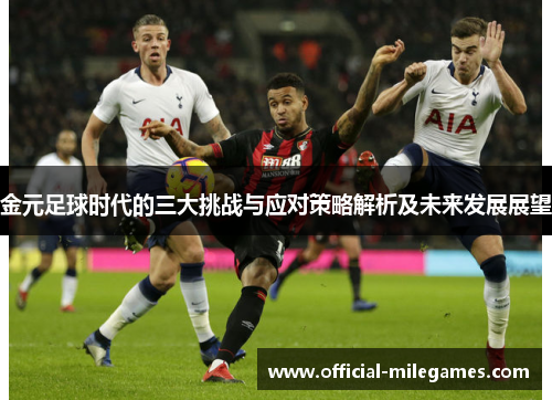 金元足球时代的三大挑战与应对策略解析及未来发展展望